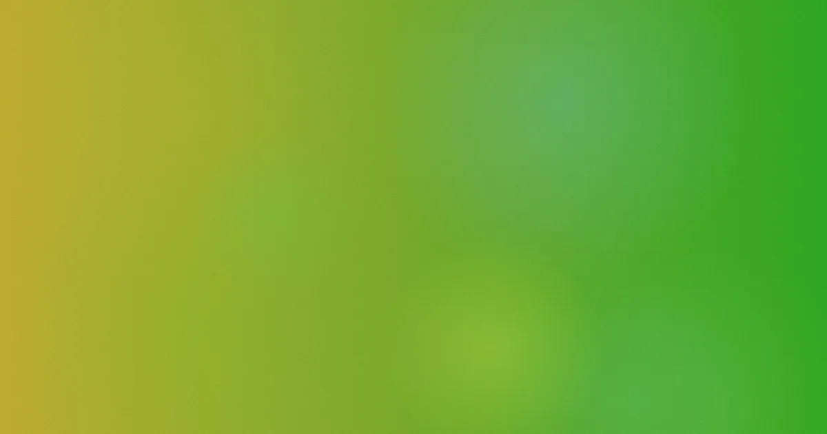 风间由美作品避坑指南